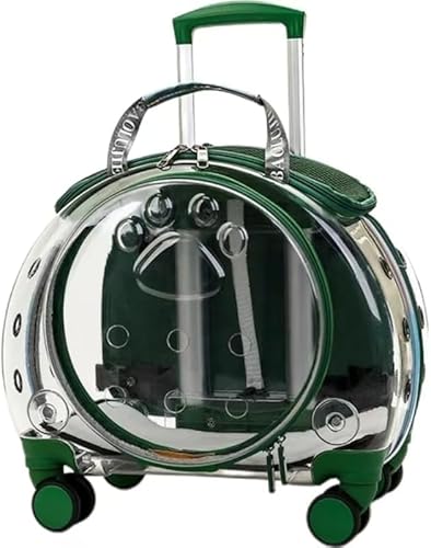 RutexcybgLAZbgALpobNpbN+pxr[J[ZbgALƌɓKĂÅOoⒷAɓKĂA܂肽݉\AʋCASxg𑕔AeʁAyʂőϋvAprLłB