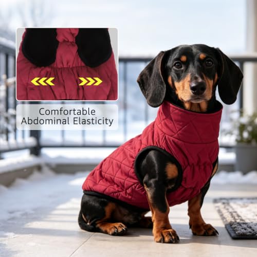 Image of SCENEREAL Dachshund Winter Dog Vest Coat with Harness Built in