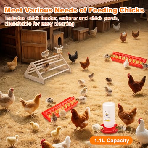 Image of Pawaboo 6-in-1 Chicken Brooder Box for Chick Starter Kit