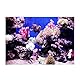 Aquarium Hintergrund HD Ocean Marine Coral Wallpaper 3D Effect Aufkleber Unterwasserwelt Hintergrund Dekoration für Aquarium (61 x 41 cm)