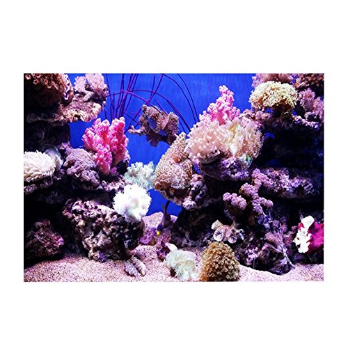 Oyunngs Aquarium Background Picture for Fish Tank, 3D Effect Seaworld Poster, Underwater Wall Decal Decoration Adhesive Sticker(12261cm)