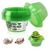 KAZATE Schneckenschutzring, 12 Stück Schneckenkragen zum Schutz von Salat und Kohl, Stabiler Schneckenzaun aus Kunststoff, Ohne Chemie – Für Hochbeet und Garten