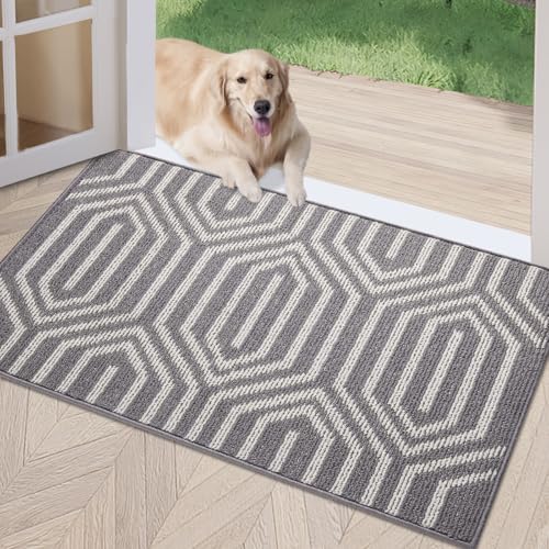 REFETONE Indoor Doormat, Front Door Mat 24