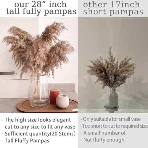 Image of 20 Stems 28 inch Large Brown Pampas Grass - Natural Fluffy Pompas Grass Bulk for Floor Vase - Boho Decor Home Wedding Event Decor, Gift