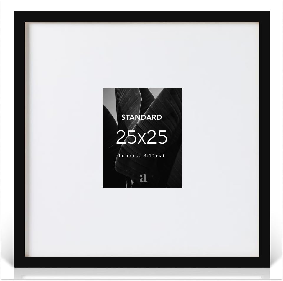 artisane home goods 25x25 Picture Frame Matted to 8x10 Black