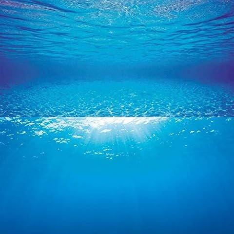 Juwel Aquarium Double-Sided Ocean Background Poster Cover