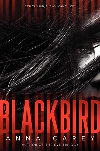 Blackbird view 2
