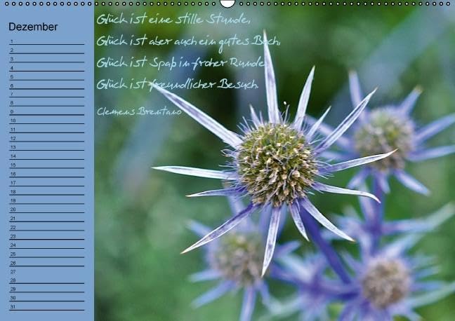Vergiss mein nicht Geburtstagskalender (Wandkalender immerwährend DIN A2 quer): Immerwährender Terminkalender mit bildschönen Blumenmotive und ... ... Lebensweisheiten (Monatskalender, 14 Seiten)