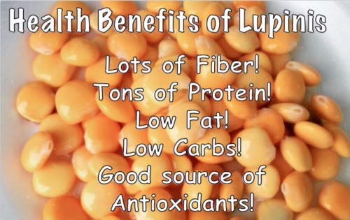 Al Reef Premium Lupini Beans 35Oz /1000G - 1 Single Glass Jar حب ترمس الريف الممتاز #TOP5