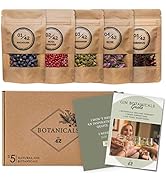 Gin Tonic épices kit | 5 botanicals naturelles pour Cocktails | Arôme pack, grande variété pour G...