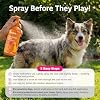 Spray Zesty Paws contra Pulgas y Garrapatas para Perros - Elimina Pulgas, Garrapatas y sus Huevos - Formulado por Veterinarios - Calma la Piel Irritada y con Picazón - Aceite de Cedro, Romero y Menta 6