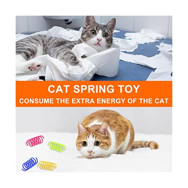 Cat Spring Spielzeug für Katzen, 100 Stück Katzen Frühlingsspielzeug, Interaktives Katzenspielzeug,Kunststoff Spiralfedern,Spirale Katzen Spielzeug,Breit Bunte Spiralfedern,Spring Spirale für Katze – Bild 4