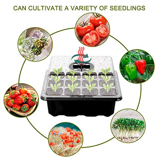 Zimmergewächshaus Anzuchtkasten,3 Stück 36 Zellen,Mini Gewächshaus Anzucht Set,Anzuchtschale mit Decke,Treibhaus Kunststoff Anzuchtschalenl,mit 2 Gartengeräte Klein + 20 Pflanzenetiketten