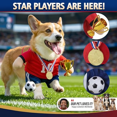 Disfraz de fútbol para perro talla X-L miniatura 5