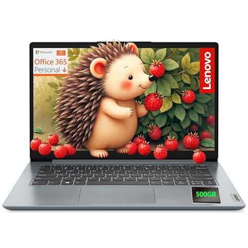 Lenovo IdeaPad 1 (Celeron N4500)