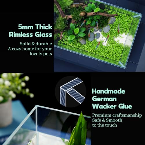 Image of LAQUAL 2 Gallon Fish Tank Starter Kit with Fish Net, 1 Water Changer Siphons & 2 Cleaning Cloth, Crystal Clear Glass Fish Tank, Small Fish Tank /Aquarium for Betta & Goldfish, Nice Home Decor