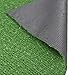 Ottomanson Artificial Grass Turf 2'7