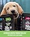 Tales & Tails - Hundefutter Lamm Ba Zamba | Halbfeuchtes Trockenfutter für Hunde | Für Allergiker geeignet | Tierische Proteinquelle mit 75% Lamm | Getreidefrei | Hohe Verträglichkeit | 1,5kg