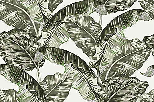 Papier peint lavable feuilles de banane 208x146 cm impression latex stable