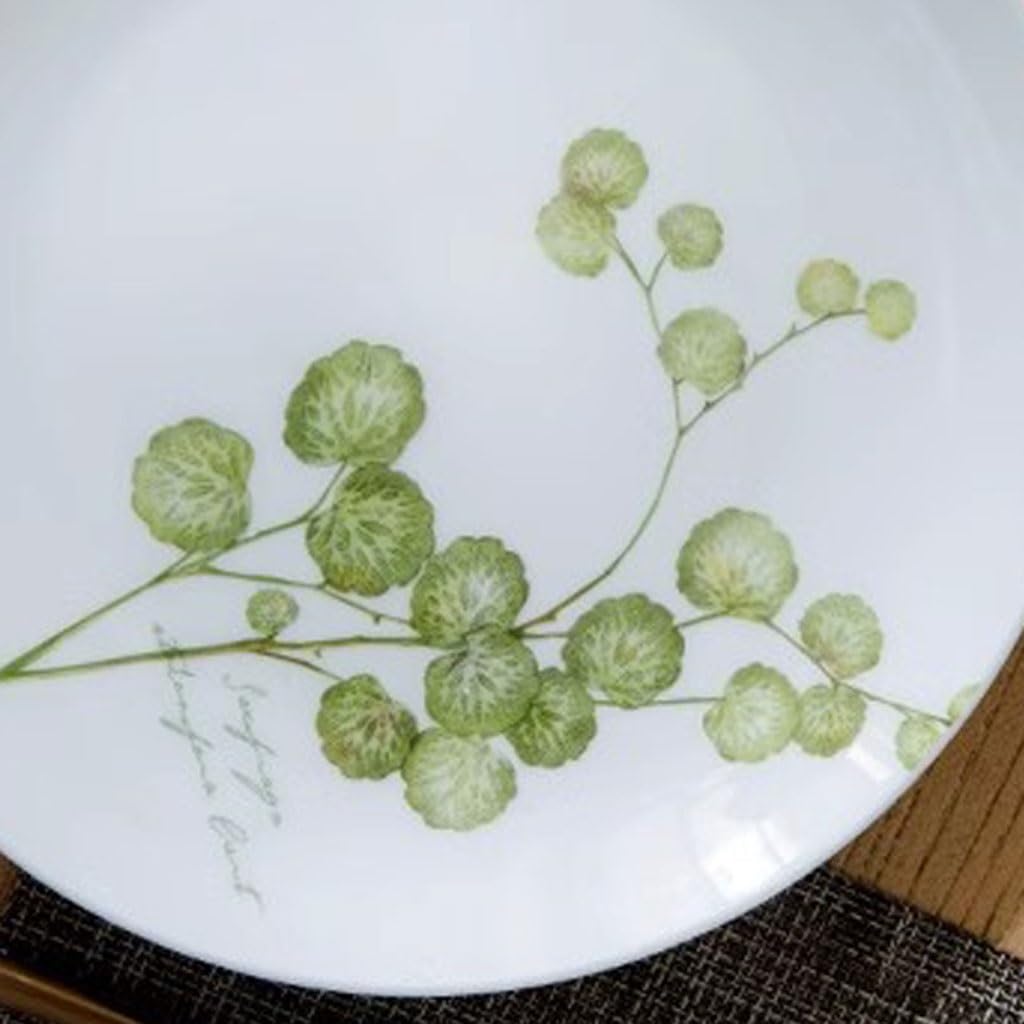 Platos Para Comer Plato de cena con patrón de planta fresca, plato de cena occidental for el hogar, plato de carne, plato de cena, plato de fruta, vajilla Plato De Cerámica Para La Cena
