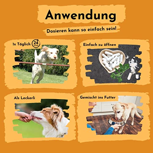 Flohsamen gemahlen für Hunde - 90 Kapseln für bis zu 3 Monate, bei Problemen mit der Analdrüse sehr positiv, natürlicher Ballaststoff als die gesunde Alternative zu Gemüse und Obst