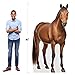Horse - Life Size Cardboard Cutout Standup People with Support Standee | Animals -1