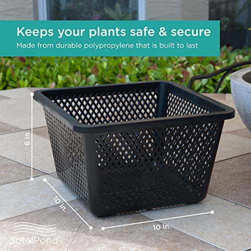 TotalPond Cesta para Plantas Acuáticas 10 Pulgadas 10 lbs miniatura 4