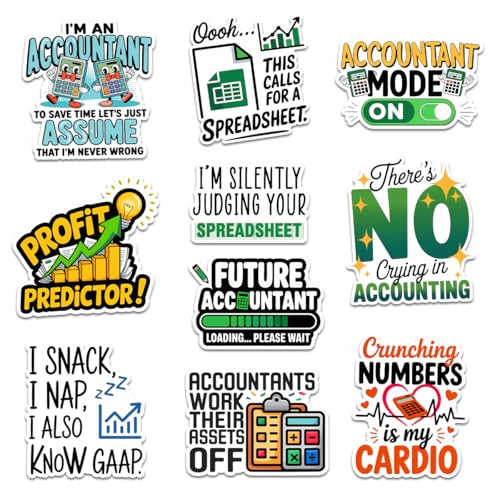10 Pcs Funny Accountant Stickers Pack, Finance & Accounting Humor Decals for Laptop, Water Bottle, Notebook, Clipboard, Gifts for CPA Students & Office Workers (3 Inch) (Normal, 3 Inch)