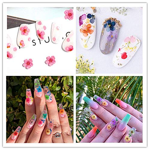 Changar JKP2020 3D Nail Dried Flowers Sticker Set Changar Real Dried Flowers thumb #6