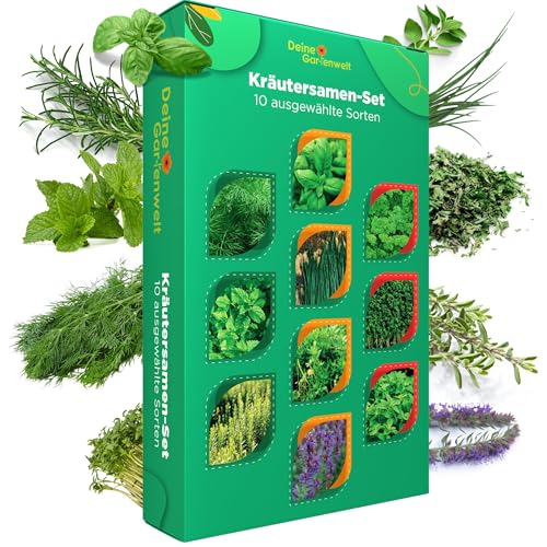 Kräutersamen Set - 10 Sorten Samen - Saatgut Sortiment - Anzuchtset für Küchenkräuter - Geschenkset - Dill, Basilikum, Petersilie, Kressse und mehr Kräutersamen Set - 10 Sorten Samen - Saatgut Sortiment - Anzuchtset für Küchenkräuter - Geschenkset - Dill, Basilikum, Petersilie, Kressse und mehr