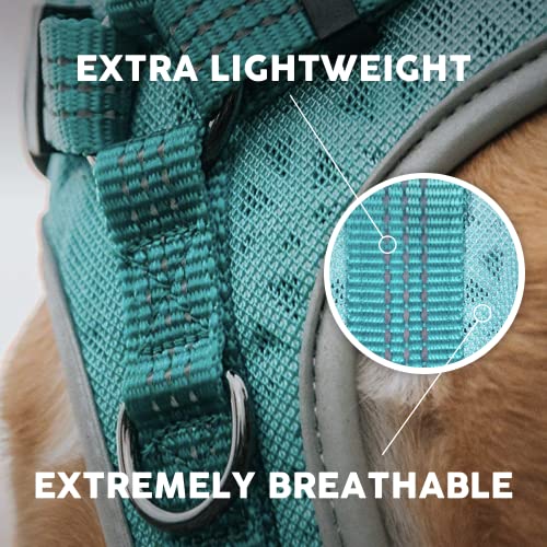 Embark Sports Dog Harness, Dog Harness For Small Medium Large Dogs No Pull With Light And Breathable Design - Handle For Control. Easy On And Off, Size Adjustable, Non Choke. Teal Vest #TOP6