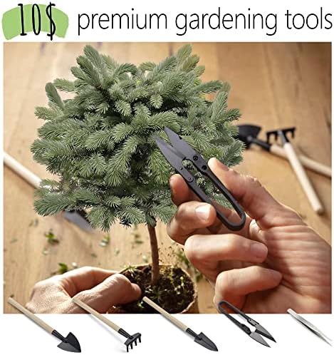 AVERGO Bonsai Growing Seed Kit - 2X Japanese Trees | Complete Indoor Starter Kit for Growing Bonsai Trees + Tools + Planters | Gardening Gifts for Women & Men