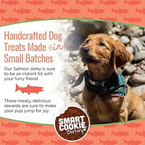 Salmon jerky canine treats  dha  omega strips for canines  puppies with allergy symptoms delicate stomachs with wild caught alaskan salmon  dehydrated grain free made in usa  3oz bag pack of 1   cucciolini doodles