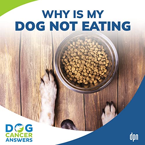 Why Is My Dog Not Eating? Dr. Trina Hazzah 119 Audible