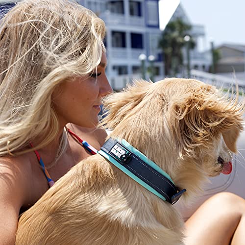 Black Rhino - The Comfort Collar Ultra Soft Neoprene Padded Dog Collar For All Breeds - Heavy Duty Adjustable Reflective Weatherproof (X-Large, Aqua/Grey) #TOP2