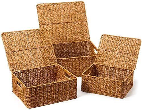 EZOWARE Set of 3 Resin Woven Storage Basket Box with Lid, Wicker Hamper Shelf Organiser Bin Containers with Side Handles for Kitchen, Living Room, Bathroom, Bedroom - Natural Brown