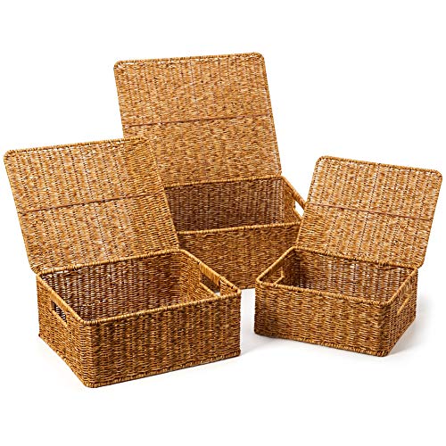 EZOWare Set di 3 Cestini Portaoggetti, Cesto Intrecciata Organizzatore Scatole da Scaffale di Resina Vimini con Maniglia per Cucina, Soggiorno, Bagno, Camera da Letto - Marrone Naturale