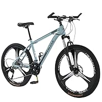 SPLENDID 26インチ クロスバイク グレー tokyobike26 クロスバイク NEWカラー SLATE GRAYのご紹介