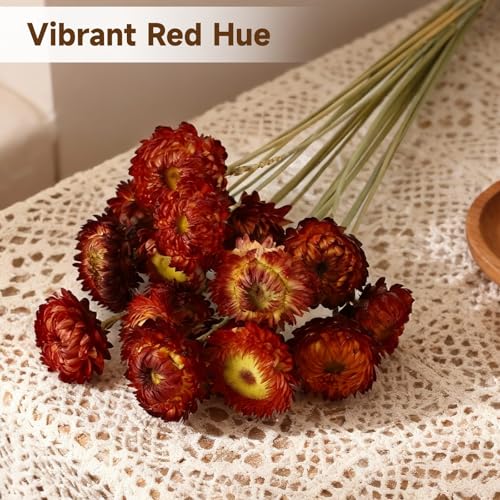 40 Piezas Flores Secas Rojas Naturales para Decoración miniatura 4