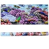 Haofy Póster Decorativo para Acuario, Adhesivo de PVC, Fondo de Peces Submarinos Vívidos para Pecera, Impermeable, Fácil de Instalar, para Acuarios de Cualquier Tamaño (61 * 41CM)