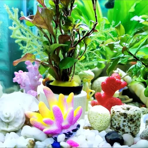 Image of 16 Pcs Aquarium Coral Plant Decor,Vivid Multicolor Resin Artificial Coral Reef Sea Star Decor for Fish Tank Aquarium Landscape Table Home Decor Garden Pond Micro Landscape Scenery