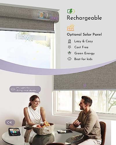 Graywind Motorized 100% Blackout Roller Shades Compatible With Alexa Google Via Hub Window Blinds Remote Control Rechargeable Battery Motor With Valance For Smart Home And Office (Grey Brown) #TOP2