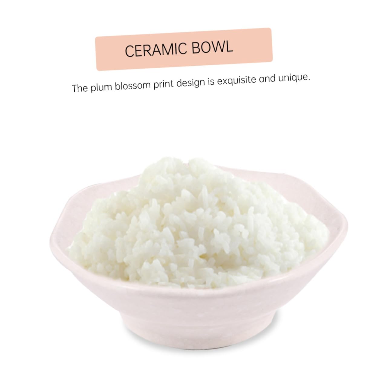 VALICLUD Service De Table Céramique Style Japonais Pour Personne Incluant Assiette Tasse Bol Et Baguettes Pratique