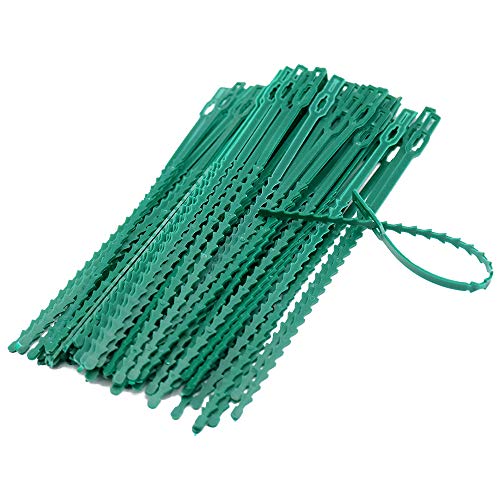Preisvergleich Produktbild KINGLAKE 100 Stück 23 cm verstellbare Pflanzenbinder, Flexible Pflanzen kabelbinder, Kunststoff Gartenbinder, für Pflanzenunterstützung