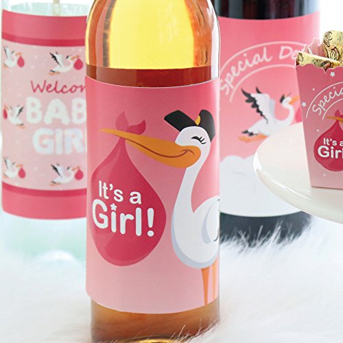 Girl Special Delivery - Pink It's A Girl Stork Baby Shower Decorations For Women And Men - Wine Bottle Label Stickers - Set Of 4 #TOP7