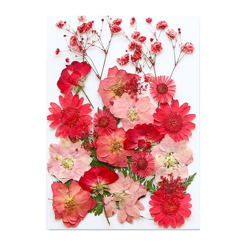 VRԃhCt[tZbgXNbvubLOWG[쐬tHgt[dbP[X葕Ntgt[