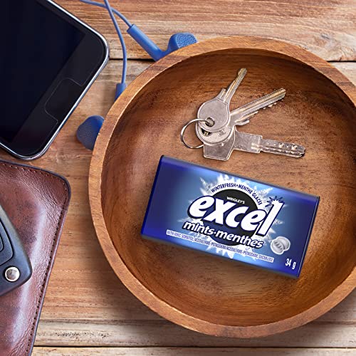 Excel Sugar-Free Chewing Gum, 34Gm Tin, 8 Count (Winterfresh) #TOP3