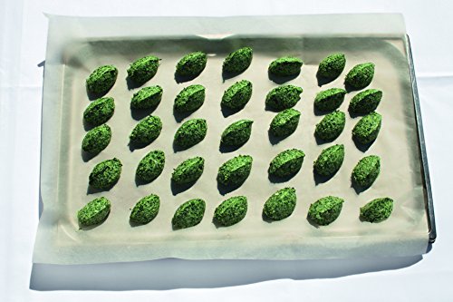 River Cafe 30: Simple Italian recipes from an