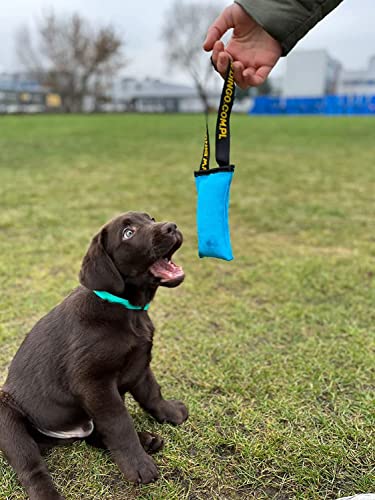 Dingo Hundespielzeug Beisswurst Agility Baumwolle mit Griff handgefertigt für Bisstraining Apportieren Schwimmend Schwimmfähig 15 x 6 cm Rosa 15601