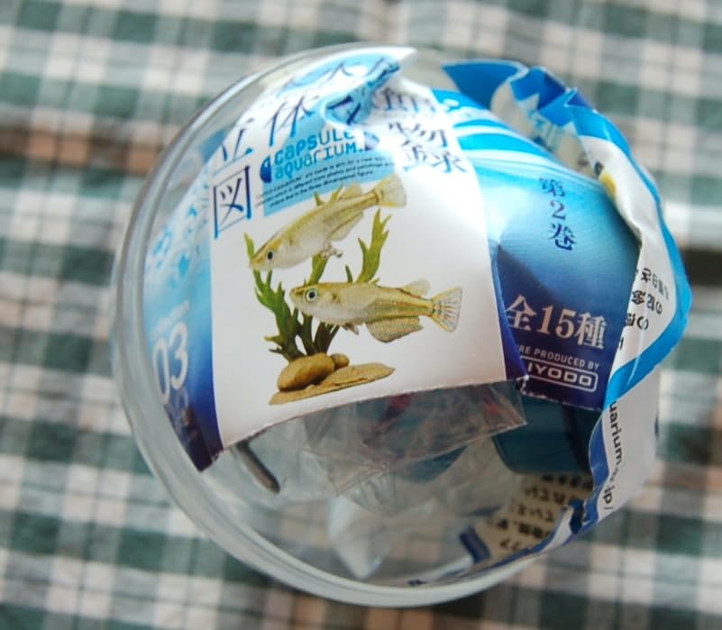 Amazon.co.jp: メダカ フィギュア 海洋堂 日本水族館立体生物図録